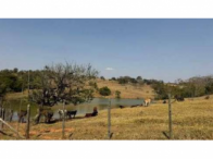 Sítio c/ 64,00,54ha - São Gonçalo do Sapucaí/MG, localizado em São Gonçalo Do Sapucaí - MG
