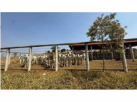 Sítio c/ 64,00,54ha - São Gonçalo do Sapucaí/MG, localizado em São Gonçalo Do Sapucaí - MG