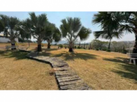 Sítio c/ 64,00,54ha - São Gonçalo do Sapucaí/MG, localizado em São Gonçalo Do Sapucaí - MG