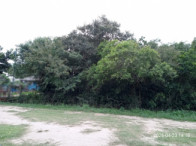 I_24650_058552_A.jpg