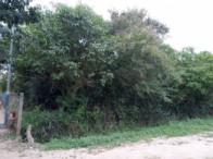 I_24650_058555_B.jpg