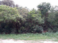 I_24650_058557_C.jpg