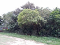 I_24650_058559_D.jpg