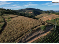 Chácara c/ 33.000,00m² - Alto Rio Novo/ES, localizado em Alto Rio Novo - ES