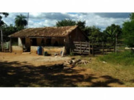 Foto de Fazenda c/ 1.876,00ha - Irapuá /BA