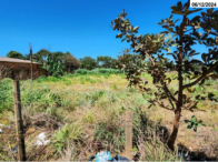 Terreno c/ 500,00 m² - Cristalina/GO, localizado em Cristalina - GO, bairro Sigma