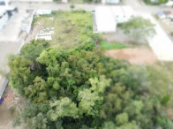 I_25497_265638_G.jpg
