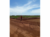 Terreno c/ 246,57m² - Conceição das Alagoas/MG, localizado em Conceição Das Alagoas - MG