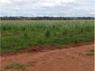 Terreno c/ 246,57m² - Conceição das Alagoas/MG, localizado em Conceição Das Alagoas - MG