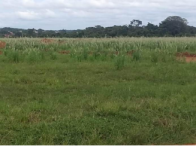 Terreno c/ 246,57m² - Conceição das Alagoas/MG, localizado em Conceição Das Alagoas - MG