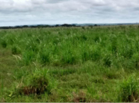 Terreno c/ 246,57m² - Conceição das Alagoas/MG, localizado em Conceição Das Alagoas - MG