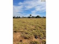 Sítio c/ 23.66.79 ha - Jussara/GO, localizado em Jussara - GO