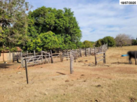 Sítio c/ 23.66.79 ha - Jussara/GO, localizado em Jussara - GO