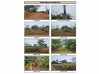 Chácara c/ 11.800,00 m² - Campo Grande/MS, localizado em Campo Grande - MS