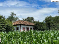 Imagem do imóvel Grande fazenda c/ 242 hectares - Ipameri/GO