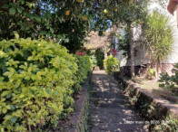 Casa de Madeira 66m² - Terreno aprox. 244m² - Centro, localizado em Sapiranga - RS