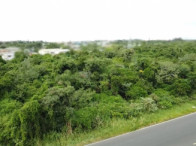 I_25987_682648_A.jpg