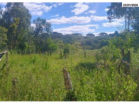 Terreno - 10.368,00 m² - Estrada Pitanga - B. Lagoão, localizado em Palmas - PR, bairro Lagoão