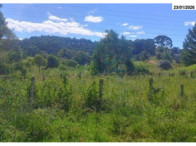 Terreno - 10.368,00 m² - Estrada Pitanga - B. Lagoão, localizado em Palmas - PR, bairro Lagoão