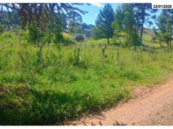 Terreno - 10.368,00 m² - Estrada Pitanga - B. Lagoão, localizado em Palmas - PR, bairro Lagoão