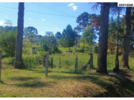 Terreno - 10.368,00 m² - Estrada Pitanga - B. Lagoão, localizado em Palmas - PR, bairro Lagoão