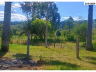 Terreno - 10.368,00 m² - Estrada Pitanga - B. Lagoão, localizado em Palmas - PR, bairro Lagoão