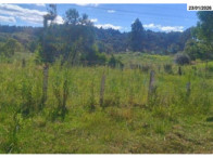 Terreno - 10.368,00 m² - Estrada Pitanga - B. Lagoão, localizado em Palmas - PR, bairro Lagoão