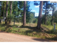 Terreno - 10.368,00 m² - Estrada Pitanga - B. Lagoão, localizado em Palmas - PR, bairro Lagoão