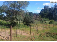 Terreno - 10.368,00 m² - Estrada Pitanga - B. Lagoão, localizado em Palmas - PR, bairro Lagoão