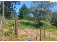 Terreno - 10.368,00 m² - Estrada Pitanga - B. Lagoão, localizado em Palmas - PR, bairro Lagoão
