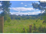 Terreno - 10.368,00 m² - Estrada Pitanga - B. Lagoão, localizado em Palmas - PR, bairro Lagoão