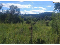 Terreno - 10.368,00 m² - Estrada Pitanga - B. Lagoão, localizado em Palmas - PR, bairro Lagoão