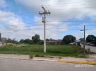I_26072_759707_B.jpg