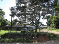 I_26127_518886_L.jpg