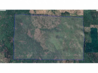 Imagem do imóvel Fazenda c/ aprox. 582,19ha - Governador Jorge Teixeira/RO