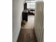 Apartamento nº 55 c/ 71,50m² - São Paulo/SP, localizado em São Paulo - SP, bairro Bela Vista