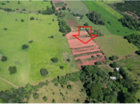 Imagem do imóvel Parte ideal de 50% - Sítio c/ 11,37 ha - Santa Salete/SP