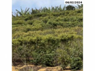 I_26873_553600_B.webp