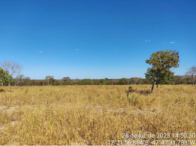 Parte Ideal c/ 159,72ha de Fazenda - Paranã/TO, localizado em Paranã - TO