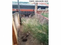 Casa - Edícula - 20,79m² - Terreno - 400m² - Piraju/SP, localizado em Piraju - SP, bairro Vila Bérgamo