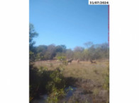 Imagem do imóvel Sítio com 74,84 ha - Campinaçu/GO