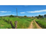 Imagem do imóvel Chácara c/ 01 hectare mecanizado p/ plantio - Tibagi/PR