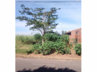 Imagem do imóvel Terreno c/ 250m² - Catanduva/SP
