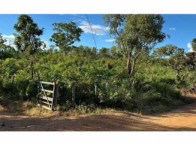 Imagem do imóvel Sítio c/ 18,05 ha - Minaçu/GO