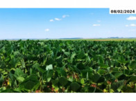Fazenda de 486,80,88ha - Estância da Palma, localizado em Manoel Viana - RS