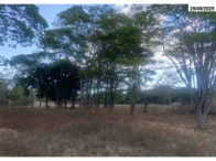 Miniatura 2 de Parte ideal de fazenda c/ 03,23 ha - Orizona/GO