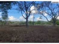 Miniatura 3 de Parte ideal de fazenda c/ 03,23 ha - Orizona/GO