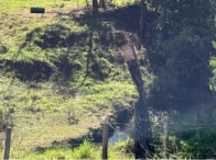Parte ideal de sítio c/ 15,09 ha- Trindade/GO, localizado em Trindade - GO