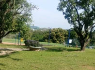 Imagem 11