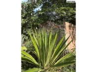 Casa c/ aprox. 80m² - Terreno c/ 1.000m² - Tanguá/RJ, localizado em Tanguá - RJ, bairro Bandeirantes Ii